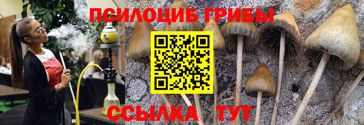 Югорск  Галлюциногенные грибы MAGIC MUSHROOMS  Вход с VPN  Псилоцибиновые грибы Psilocybe 