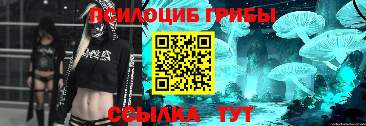 Псилоцибиновые грибы мицелий Югорск